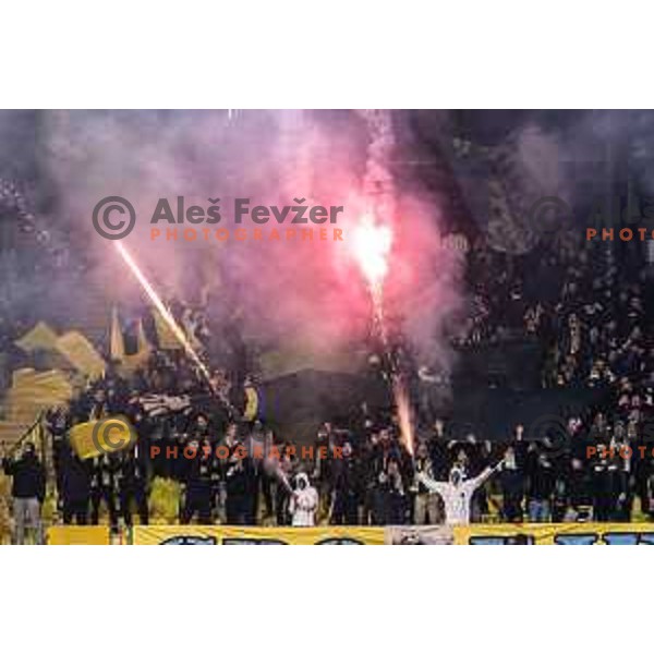 Celjski grofje during UEFA Conference League 2025/26 football match between NK Celje (SLO) and Legia Warszawa (POL) in Stadion z’dezele, Celje, Slovenia on November 6, 2025. Photo: Jure Banfi