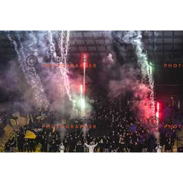 Celjski grofje during UEFA Conference League 2025/26 football match between NK Celje (SLO) and Legia Warszawa (POL) in Stadion z’dezele, Celje, Slovenia on November 6, 2025. Photo: Jure Banfi