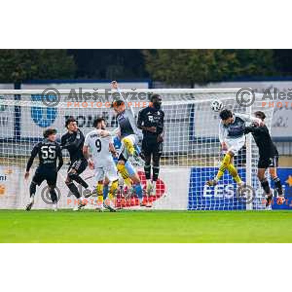 in action during Prva liga Telemach 2025/2026 football match between Kalcer Radomlje and Maribor in Domzale, Slovenia on November 8, 2025