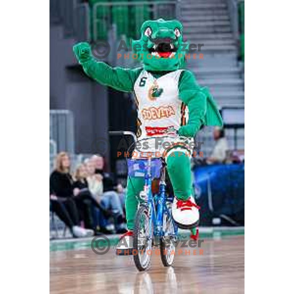 Oli the Dragon during AdmiralBet ABA League 2025/2026 basketball match between Cedevita Olimpija (SLO) and Vienna (AUT) in SRC Stozice, Ljubljana, Slovenia on November 9, 2025.