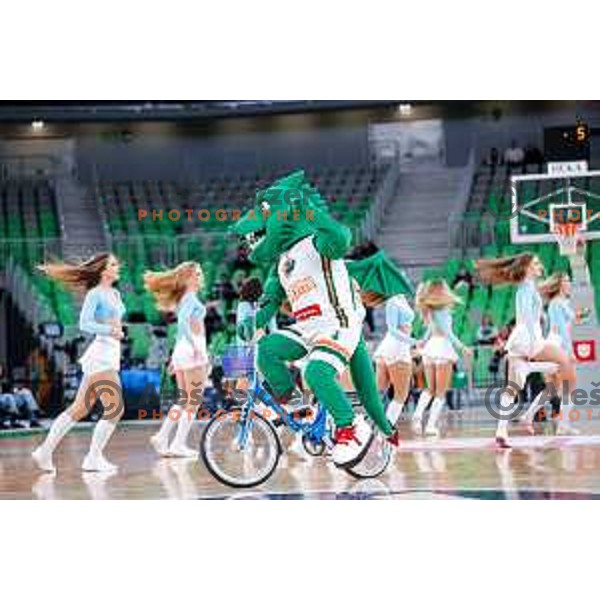 Oli the Dragon during AdmiralBet ABA League 2025/2026 basketball match between Cedevita Olimpija (SLO) and Vienna (AUT) in SRC Stozice, Ljubljana, Slovenia on November 9, 2025.