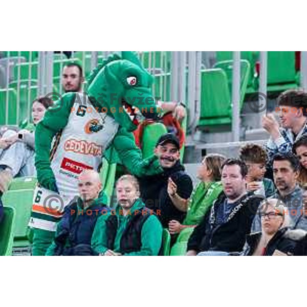 Oli the Dragon during AdmiralBet ABA League 2025/2026 basketball match between Cedevita Olimpija (SLO) and Vienna (AUT) in SRC Stozice, Ljubljana, Slovenia on November 9, 2025.