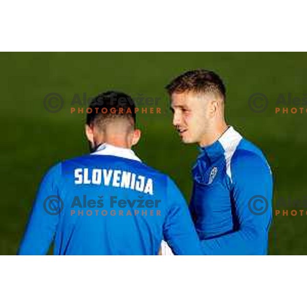 Slovenia Football team practice, Brdo pri Kranju on November 10, 2025
