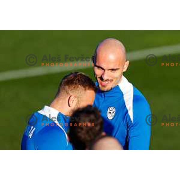 Slovenia Football team practice, Brdo pri Kranju on November 10, 2025