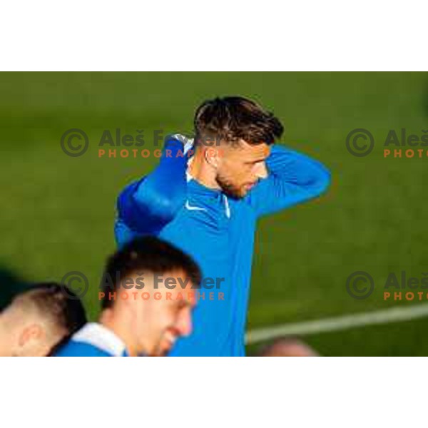 Slovenia Football team practice, Brdo pri Kranju on November 10, 2025