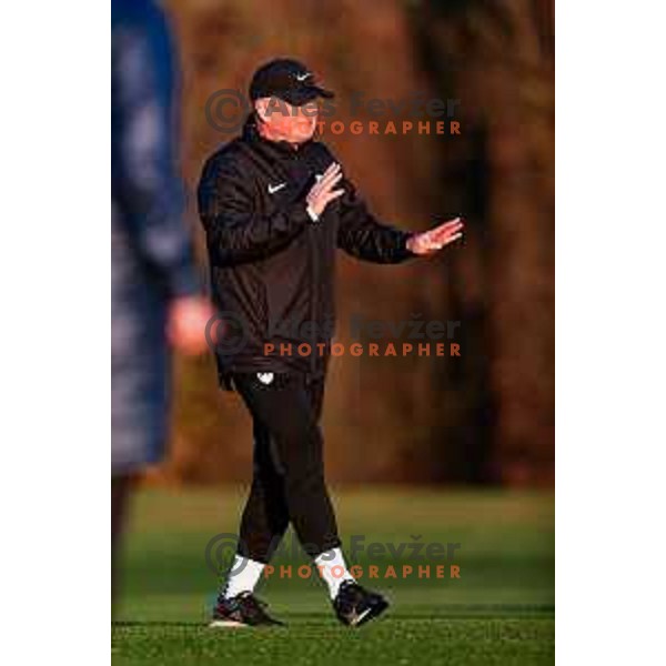 Matjaz Kek, head coach of Slovenia Football team during practice session in NNC Brdo pri Kranju on November 10, 2025