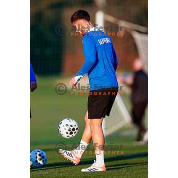 Slovenia Football team practice, Brdo pri Kranju on November 10, 2025