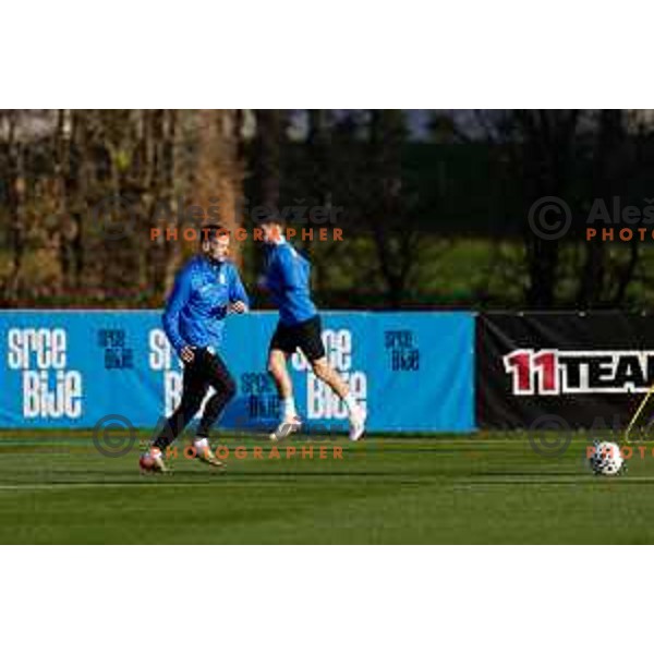 Slovenia Football team during practice session in NNC Brdo pri Kranju on November 11, 2025
