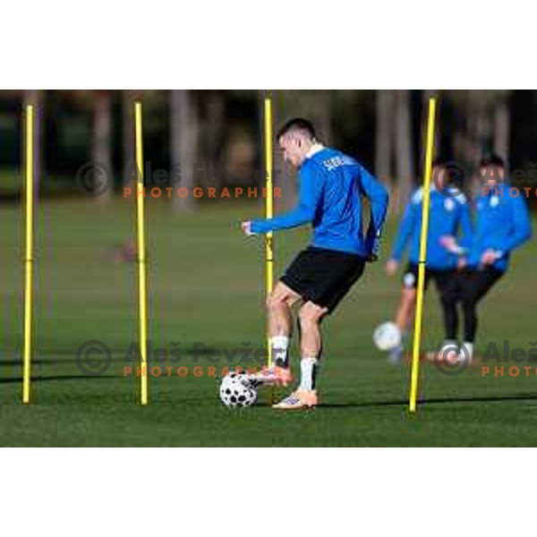 Slovenia Football team during practice session in NNC Brdo pri Kranju on November 11, 2025