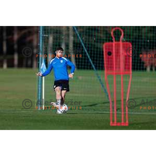 Slovenia Football team during practice session in NNC Brdo pri Kranju on November 11, 2025
