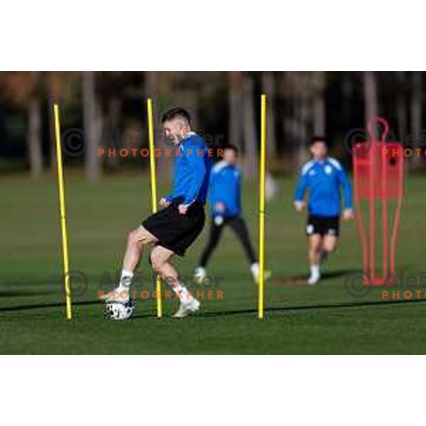 Slovenia Football team during practice session in NNC Brdo pri Kranju on November 11, 2025