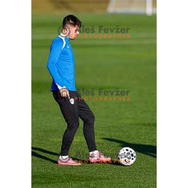 Slovenia Football team during practice session in NNC Brdo pri Kranju on November 11, 2025