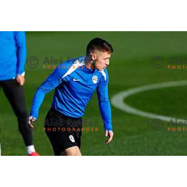 Slovenia Football team during practice session in NNC Brdo pri Kranju on November 11, 2025
