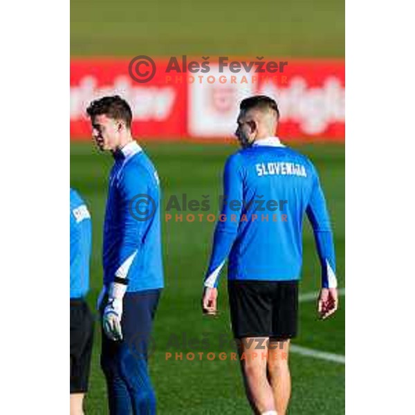 Slovenia Football team during practice session in NNC Brdo pri Kranju on November 11, 2025