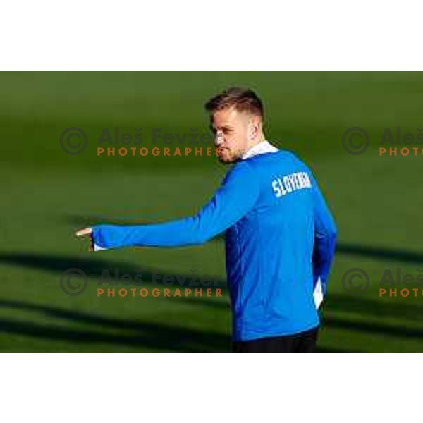 Slovenia Football team during practice session in NNC Brdo pri Kranju on November 11, 2025