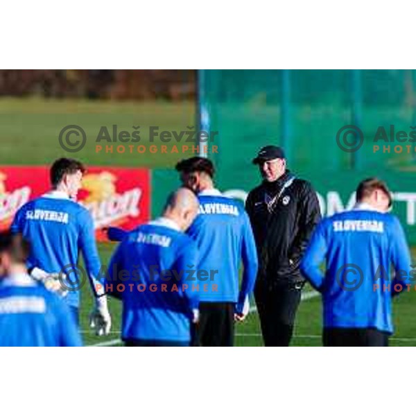 Matjaz Kek, head coach of Slovenia Football team during practice session in NNC Brdo pri Kranju on November 11, 2025
