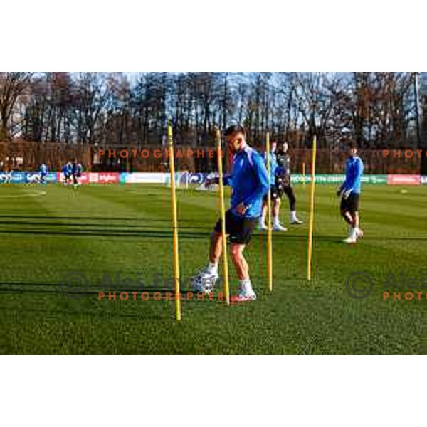 Slovenia Football team during practice session in NNC Brdo pri Kranju on November 11, 2025