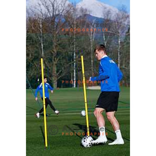 Slovenia Football team during practice session in NNC Brdo pri Kranju on November 11, 2025