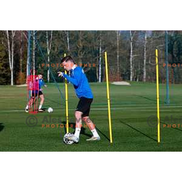 Slovenia Football team during practice session in NNC Brdo pri Kranju on November 11, 2025