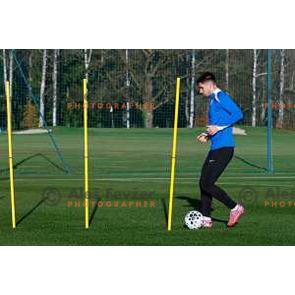 Slovenia Football team during practice session in NNC Brdo pri Kranju on November 11, 2025