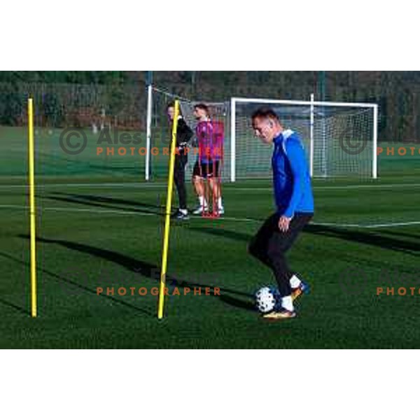 Slovenia Football team during practice session in NNC Brdo pri Kranju on November 11, 2025