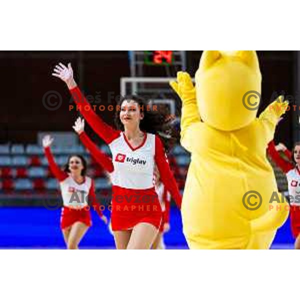 Ladies Dance Team during FIBA Women\'s EuroBasket Qualifiers basketball match between Slovenia and Latvia in Kodeljevo Hall, Ljubljana, Slovenia on November 12, 2025. Photo: Filip Barbalic