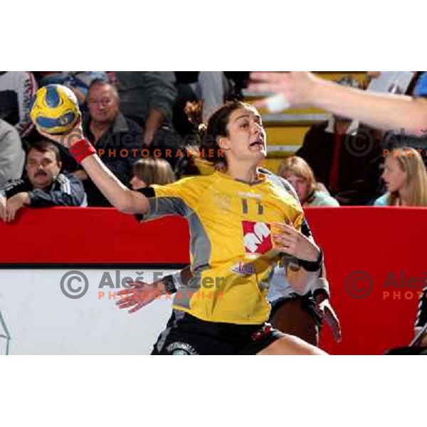  Damjanovic