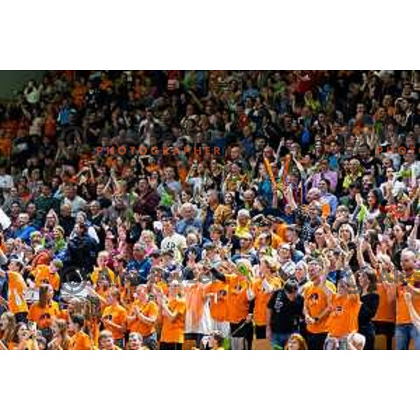Fans of ACH Volley during CEV Men\'s Champions League 2026 Early Stage volleyball match between ACH Volley (SLO) and Dinamo Bucuresti (ROM) in Tivoli Hall, Ljubljana, Slovenia on November 13, 2025. Photo: Filip Barbalic