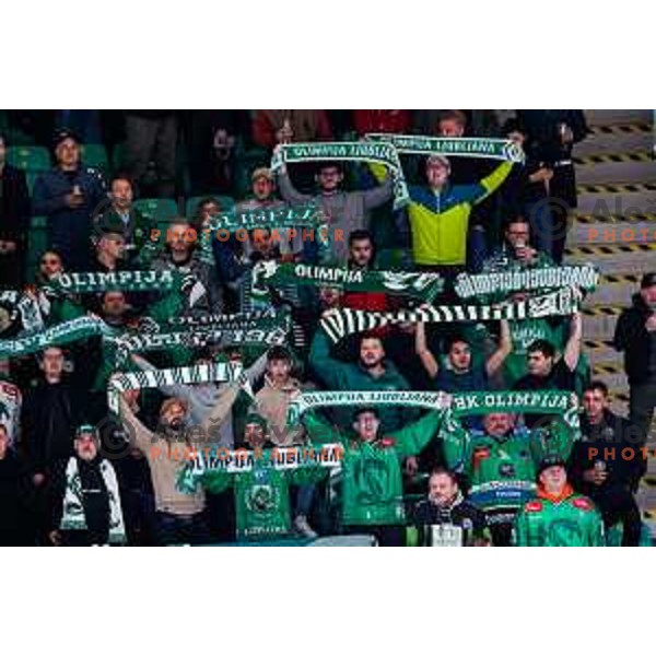 of SZ Olimpija in action during IceHL 2025/2026 ice-hockey match between SZ Olimpija and Sudtirol Alperia in Tivoli Hall, Ljubljana, Slovenia on November 14, 2025