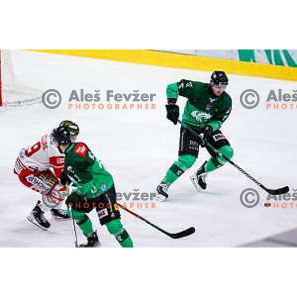 Blaz Gregorc of SZ Olimpija in action during IceHL 2025/2026 ice-hockey match between SZ Olimpija and Sudtirol Alperia in Tivoli Hall, Ljubljana, Slovenia on November 14, 2025