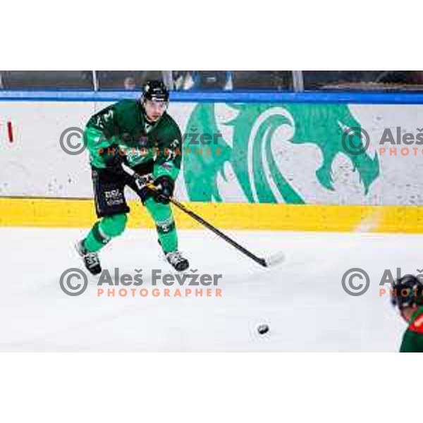 Bine Masic of SZ Olimpija in action during IceHL 2025/2026 ice-hockey match between SZ Olimpija and Sudtirol Alperia in Tivoli Hall, Ljubljana, Slovenia on November 14, 2025