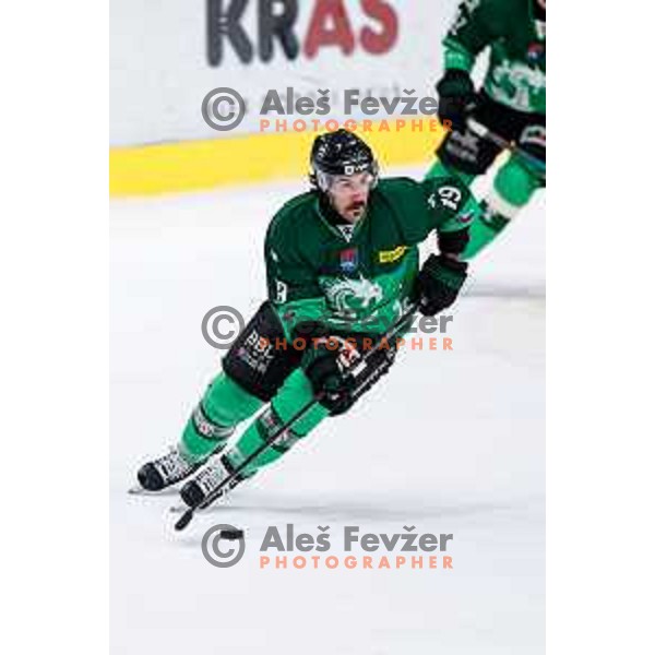 of SZ Olimpija in action during IceHL 2025/2026 ice-hockey match between SZ Olimpija and Sudtirol Alperia in Tivoli Hall, Ljubljana, Slovenia on November 14, 2025
