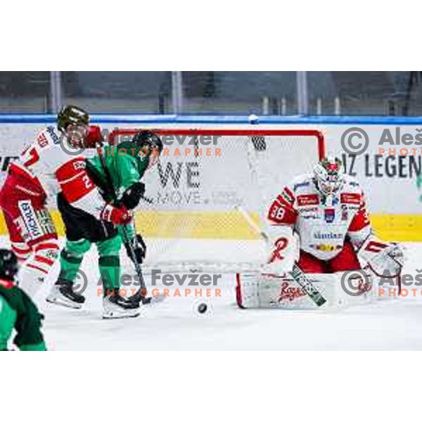 of SZ Olimpija in action during IceHL 2025/2026 ice-hockey match between SZ Olimpija and Sudtirol Alperia in Tivoli Hall, Ljubljana, Slovenia on November 14, 2025