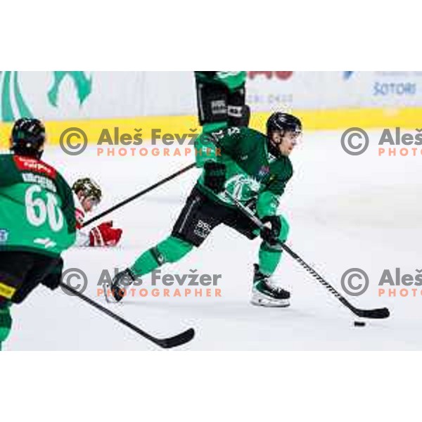 Jaka Sodja of SZ Olimpija in action during IceHL 2025/2026 ice-hockey match between SZ Olimpija and Sudtirol Alperia in Tivoli Hall, Ljubljana, Slovenia on November 14, 2025