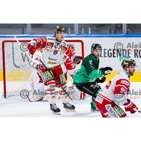 of SZ Olimpija in action during IceHL 2025/2026 ice-hockey match between SZ Olimpija and Sudtirol Alperia in Tivoli Hall, Ljubljana, Slovenia on November 14, 2025