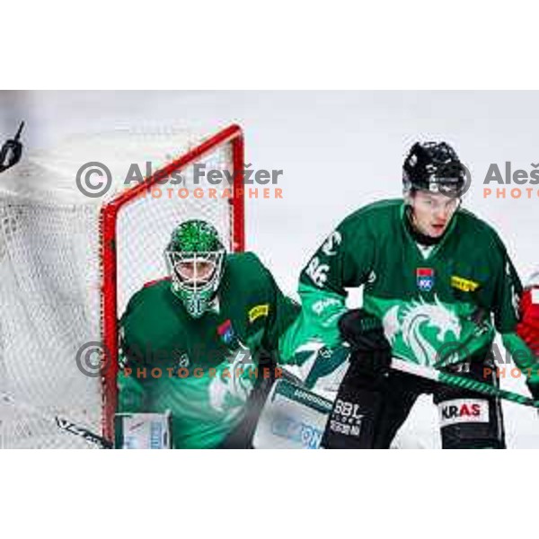 Luka Kolin of SZ Olimpija in action during IceHL 2025/2026 ice-hockey match between SZ Olimpija and Sudtirol Alperia in Tivoli Hall, Ljubljana, Slovenia on November 14, 2025