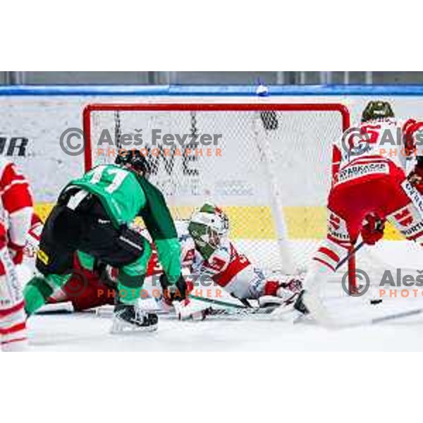 Marly Quince of SZ Olimpija in action during IceHL 2025/2026 ice-hockey match between SZ Olimpija and Sudtirol Alperia in Tivoli Hall, Ljubljana, Slovenia on November 14, 2025