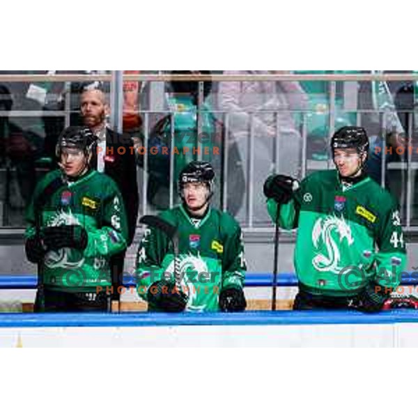 of SZ Olimpija in action during IceHL 2025/2026 ice-hockey match between SZ Olimpija and Sudtirol Alperia in Tivoli Hall, Ljubljana, Slovenia on November 14, 2025