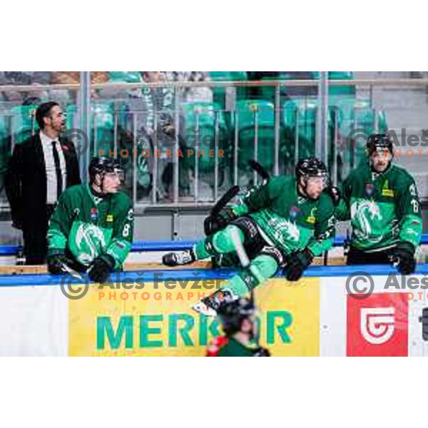 Robert Sabolic of SZ Olimpija in action during IceHL 2025/2026 ice-hockey match between SZ Olimpija and Sudtirol Alperia in Tivoli Hall, Ljubljana, Slovenia on November 14, 2025