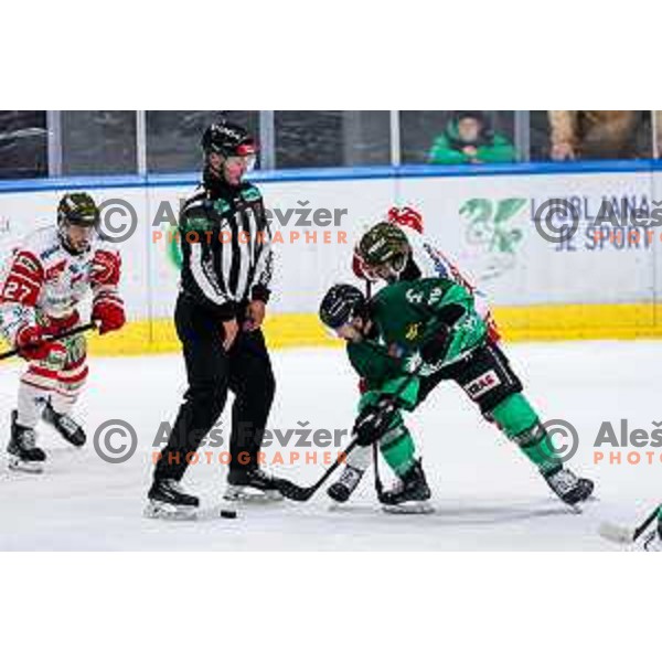 of SZ Olimpija in action during IceHL 2025/2026 ice-hockey match between SZ Olimpija and Sudtirol Alperia in Tivoli Hall, Ljubljana, Slovenia on November 14, 2025