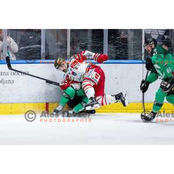 of SZ Olimpija in action during IceHL 2025/2026 ice-hockey match between SZ Olimpija and Sudtirol Alperia in Tivoli Hall, Ljubljana, Slovenia on November 14, 2025