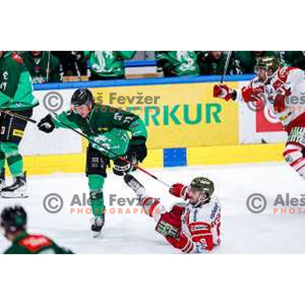 of SZ Olimpija in action during IceHL 2025/2026 ice-hockey match between SZ Olimpija and Sudtirol Alperia in Tivoli Hall, Ljubljana, Slovenia on November 14, 2025