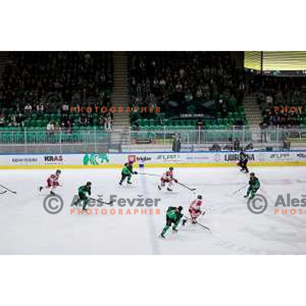 of SZ Olimpija in action during IceHL 2025/2026 ice-hockey match between SZ Olimpija and Sudtirol Alperia in Tivoli Hall, Ljubljana, Slovenia on November 14, 2025