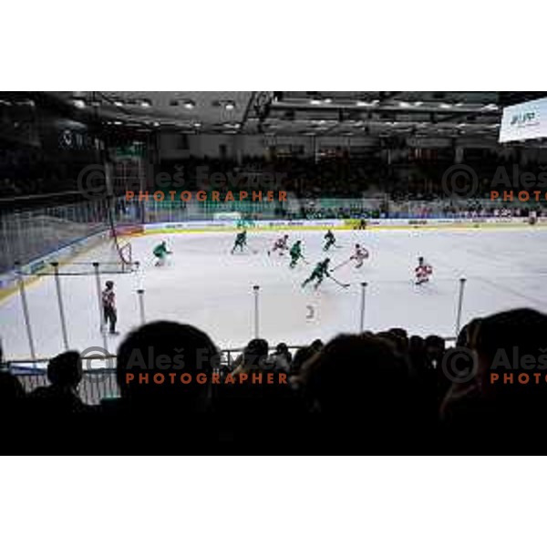 of SZ Olimpija in action during IceHL 2025/2026 ice-hockey match between SZ Olimpija and Sudtirol Alperia in Tivoli Hall, Ljubljana, Slovenia on November 14, 2025