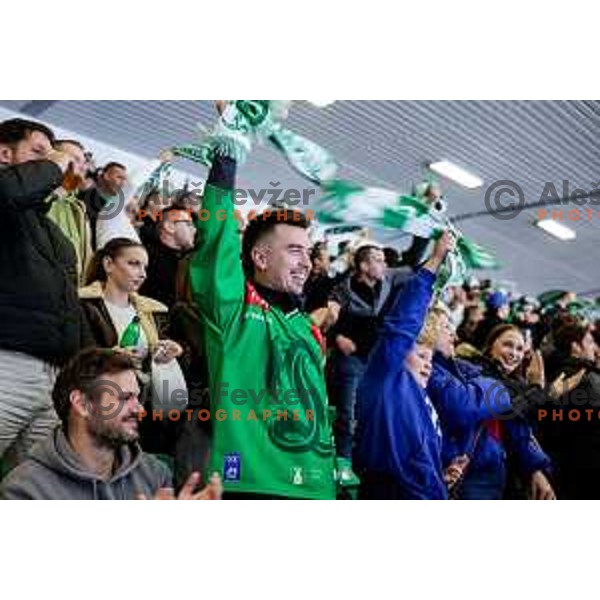 of SZ Olimpija in action during IceHL 2025/2026 ice-hockey match between SZ Olimpija and Sudtirol Alperia in Tivoli Hall, Ljubljana, Slovenia on November 14, 2025