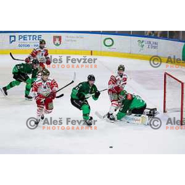 of SZ Olimpija in action during IceHL 2025/2026 ice-hockey match between SZ Olimpija and Sudtirol Alperia in Tivoli Hall, Ljubljana, Slovenia on November 14, 2025