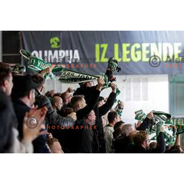 of SZ Olimpija in action during IceHL 2025/2026 ice-hockey match between SZ Olimpija and Sudtirol Alperia in Tivoli Hall, Ljubljana, Slovenia on November 14, 2025