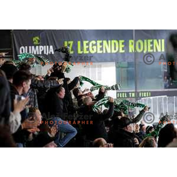 of SZ Olimpija in action during IceHL 2025/2026 ice-hockey match between SZ Olimpija and Sudtirol Alperia in Tivoli Hall, Ljubljana, Slovenia on November 14, 2025