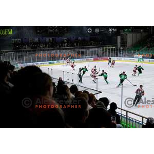of SZ Olimpija in action during IceHL 2025/2026 ice-hockey match between SZ Olimpija and Sudtirol Alperia in Tivoli Hall, Ljubljana, Slovenia on November 14, 2025