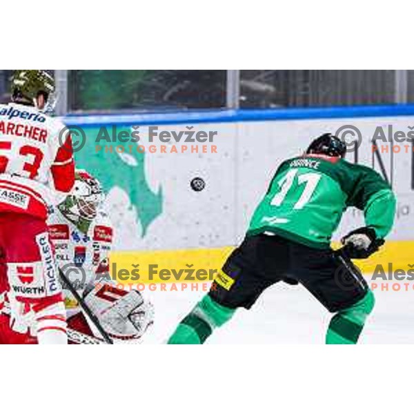 Marly Quince of SZ Olimpija in action during IceHL 2025/2026 ice-hockey match between SZ Olimpija and Sudtirol Alperia in Tivoli Hall, Ljubljana, Slovenia on November 14, 2025
